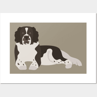 Dutch Partridge Dog Posters and Art